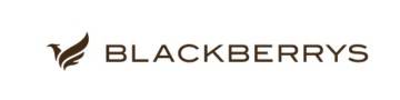 Blackberrys: Unleash Stylish Menswear at Irresistible Prices Logo