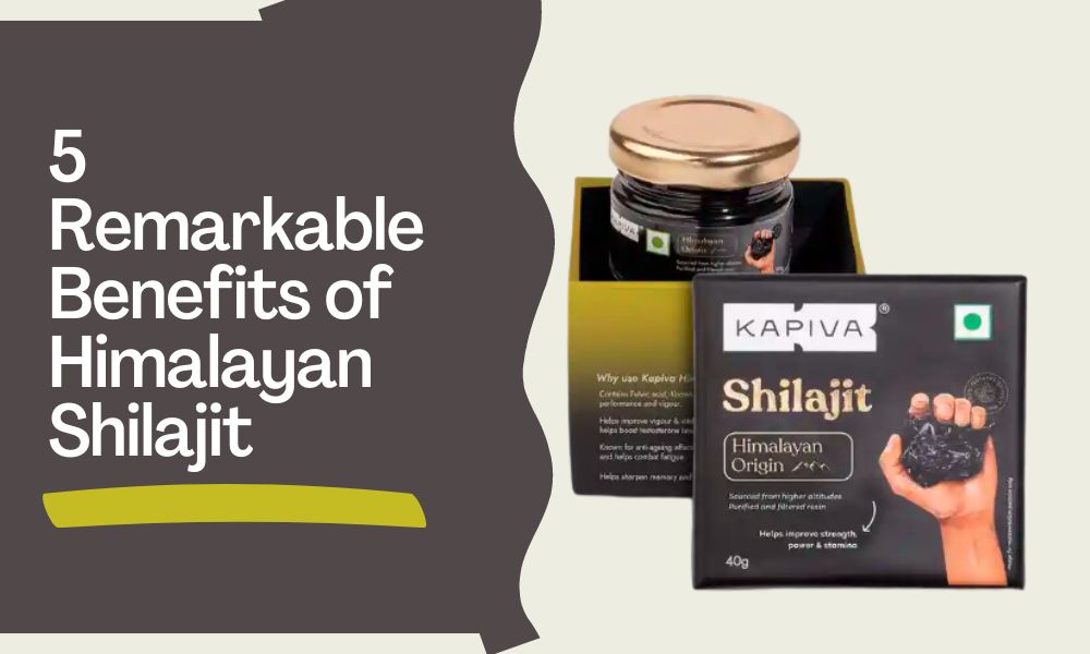 Himalayan Shilajit featured img